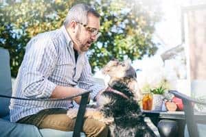 Schnauzer stands to man's lap sitting at a patio table outdoors