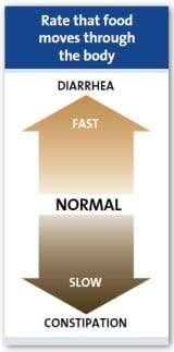 Hastigheten med vilken maten rör sig genom kroppen