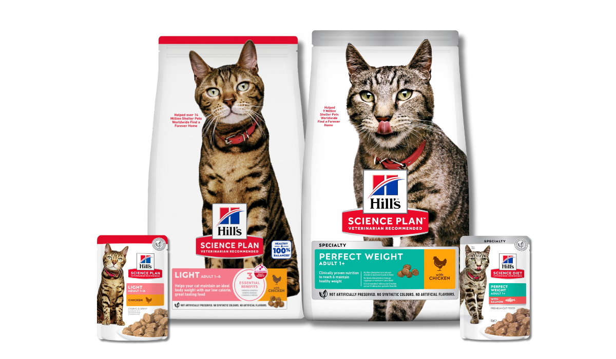Science light kattfoder för en perfekt vikt