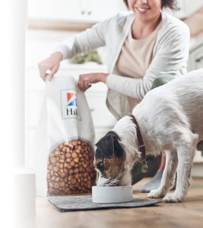 Hund äter Hill's