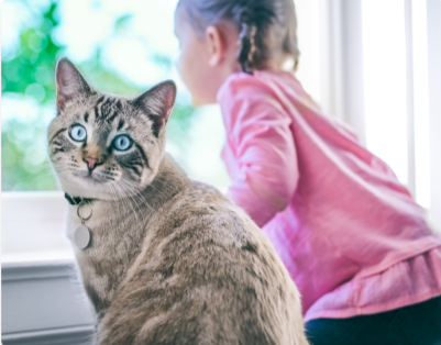 En liten flicka sitter bredvid en överviktig katt
