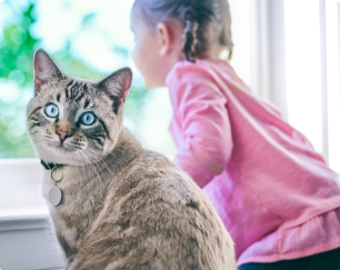 En liten flicka sitter bredvid en överviktig katt