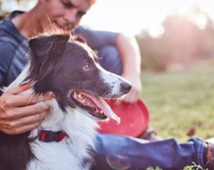 En man klappar sin hund