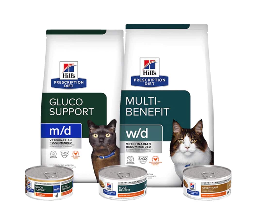 Prescription Diet cat food
