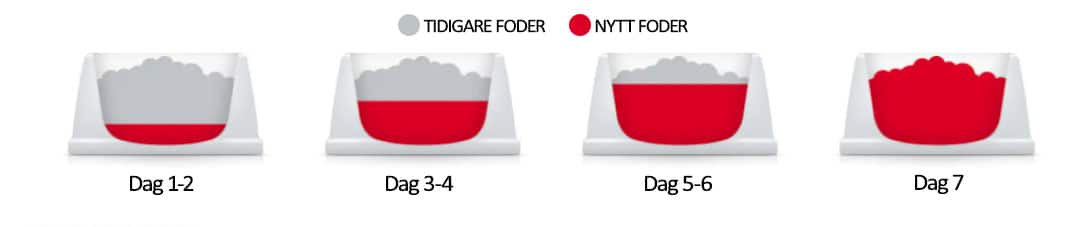 Hill's foderövergång